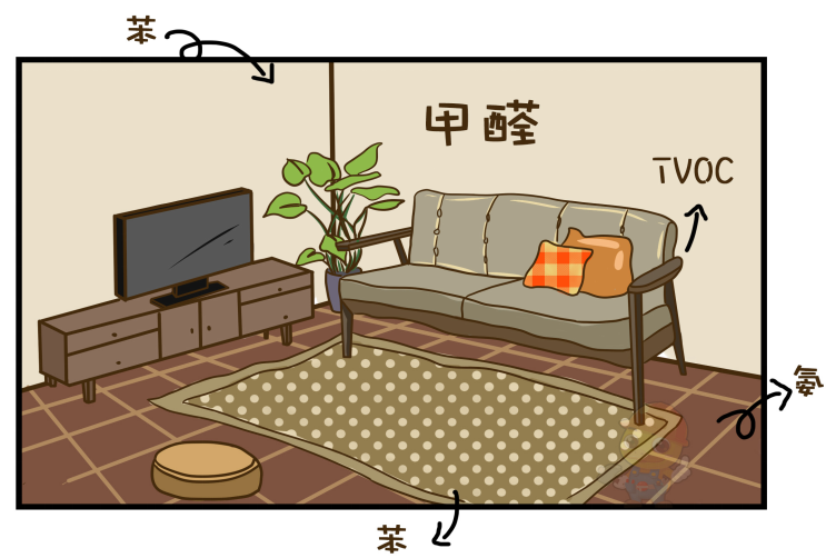 圖片4
