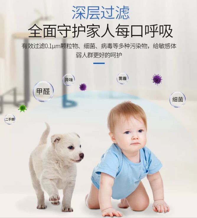圖片6