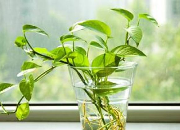 室內甲醛的安全標準到底是多少？