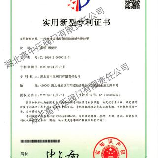 碧桂園威尼斯城別墅施工案例